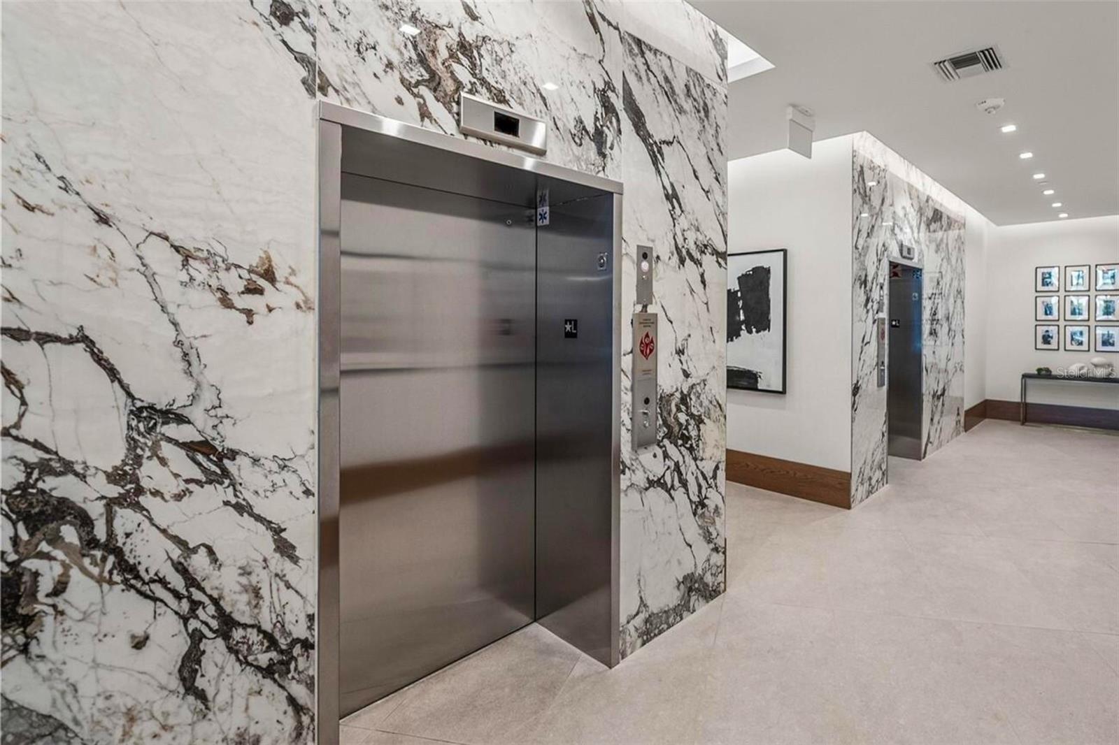 The Elevators