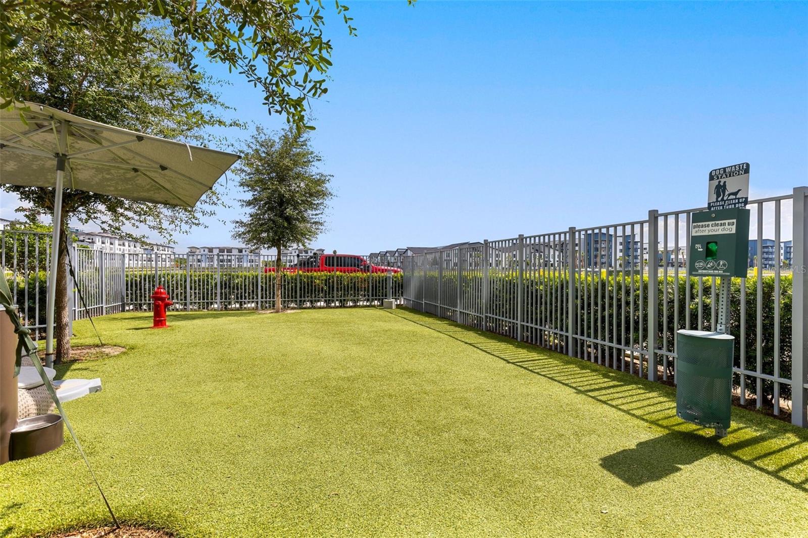 Dog Park