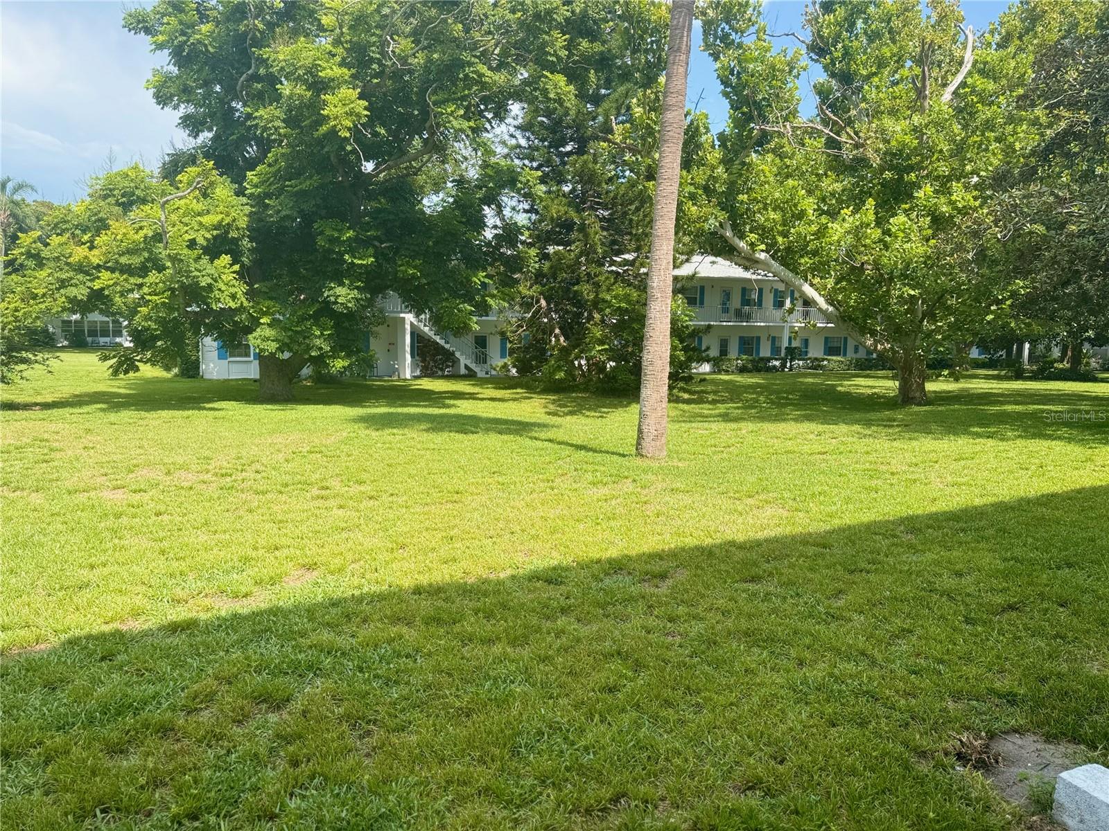 view out back door