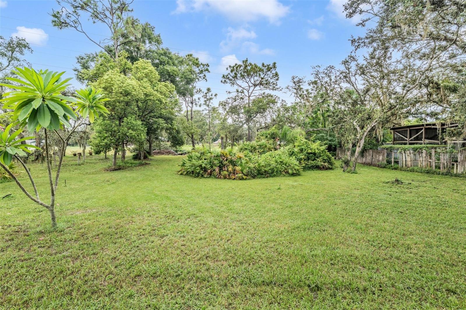 Backyard
