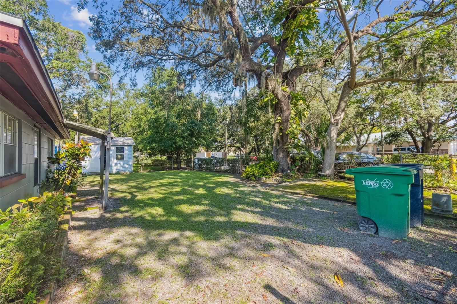 Mango tree| Fenced backyard