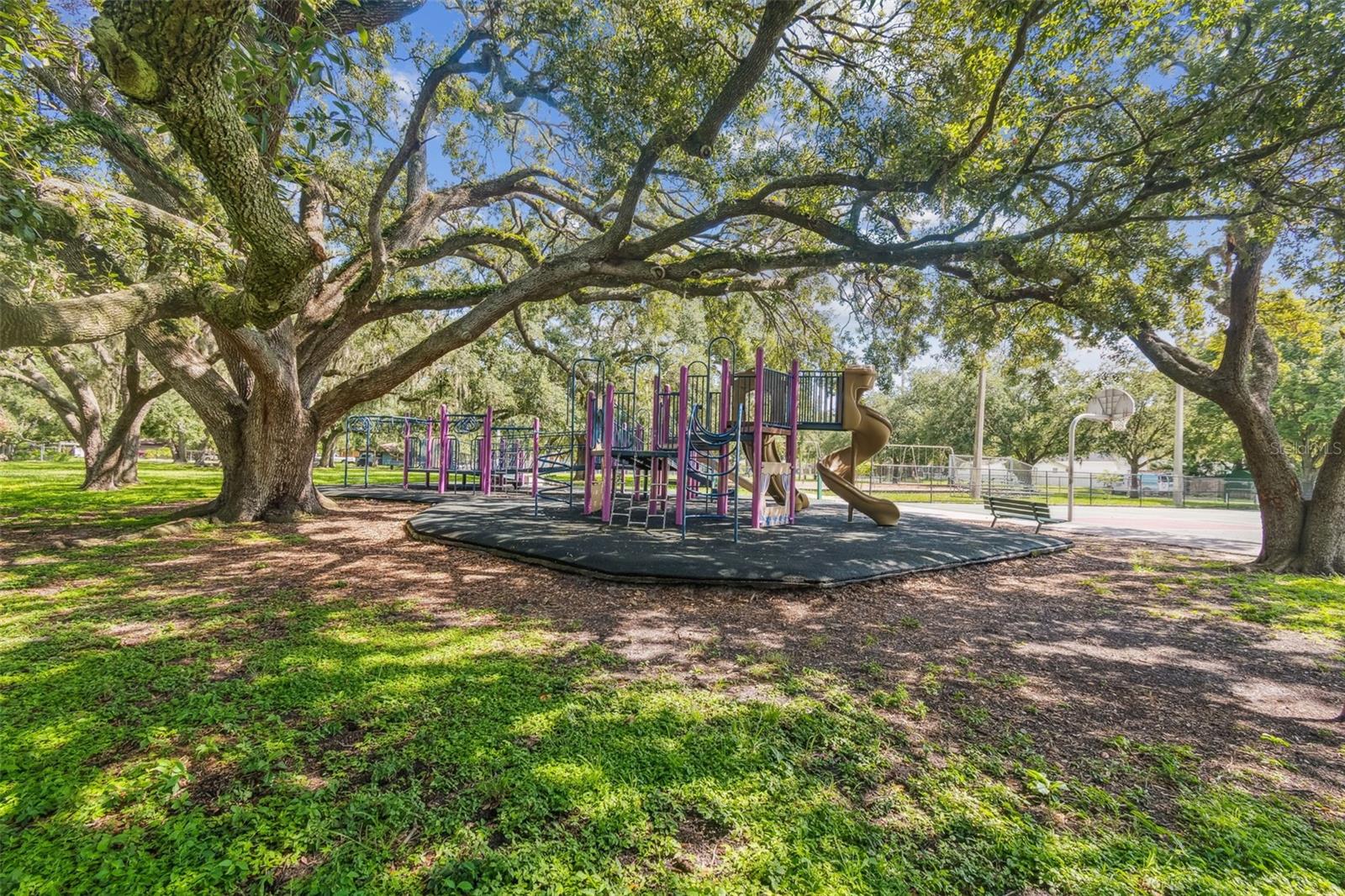 Playground at the park