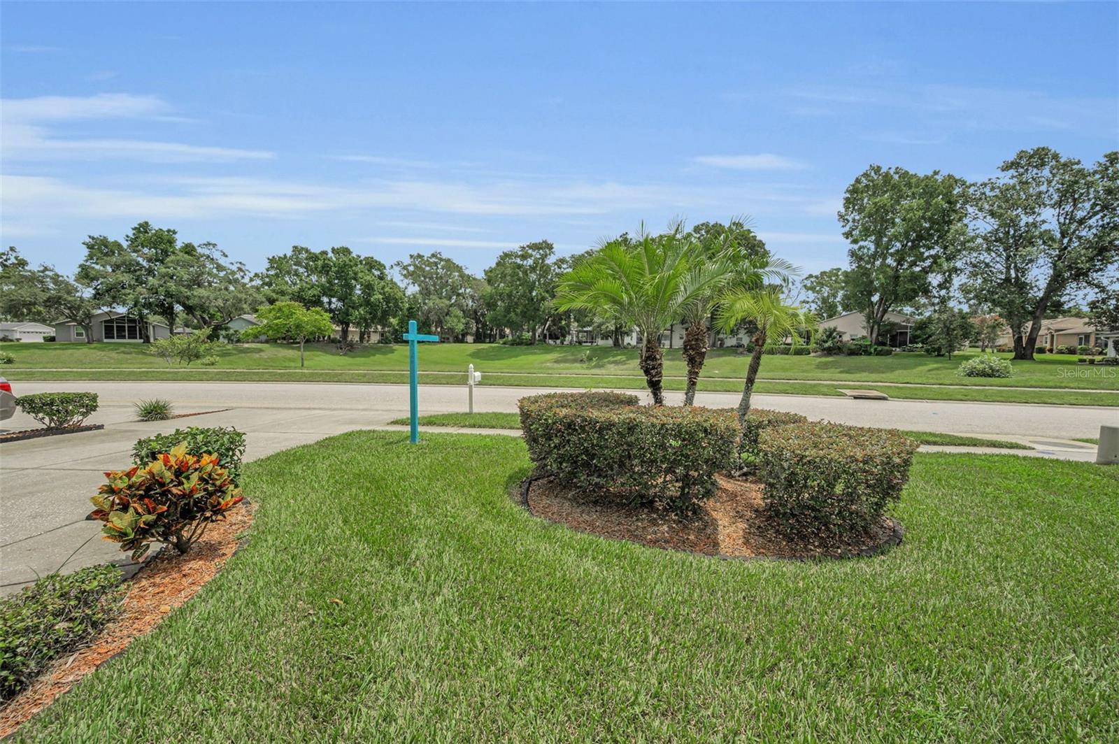 Front yard