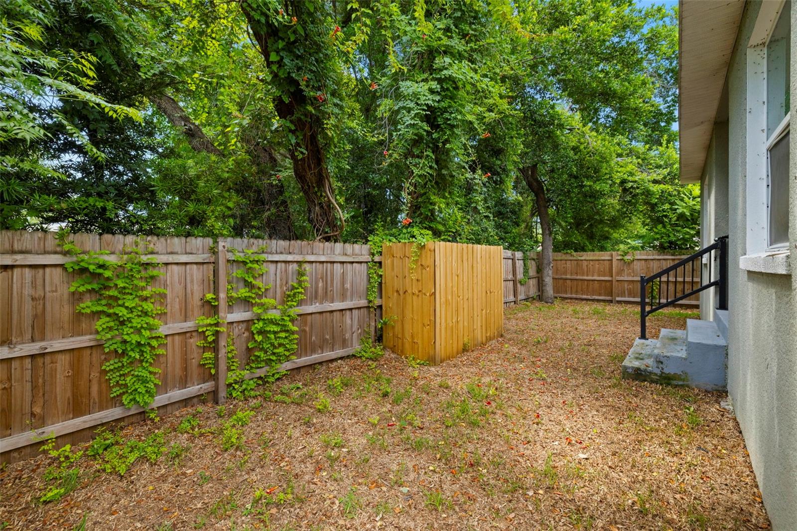 Backyard (Fenced)