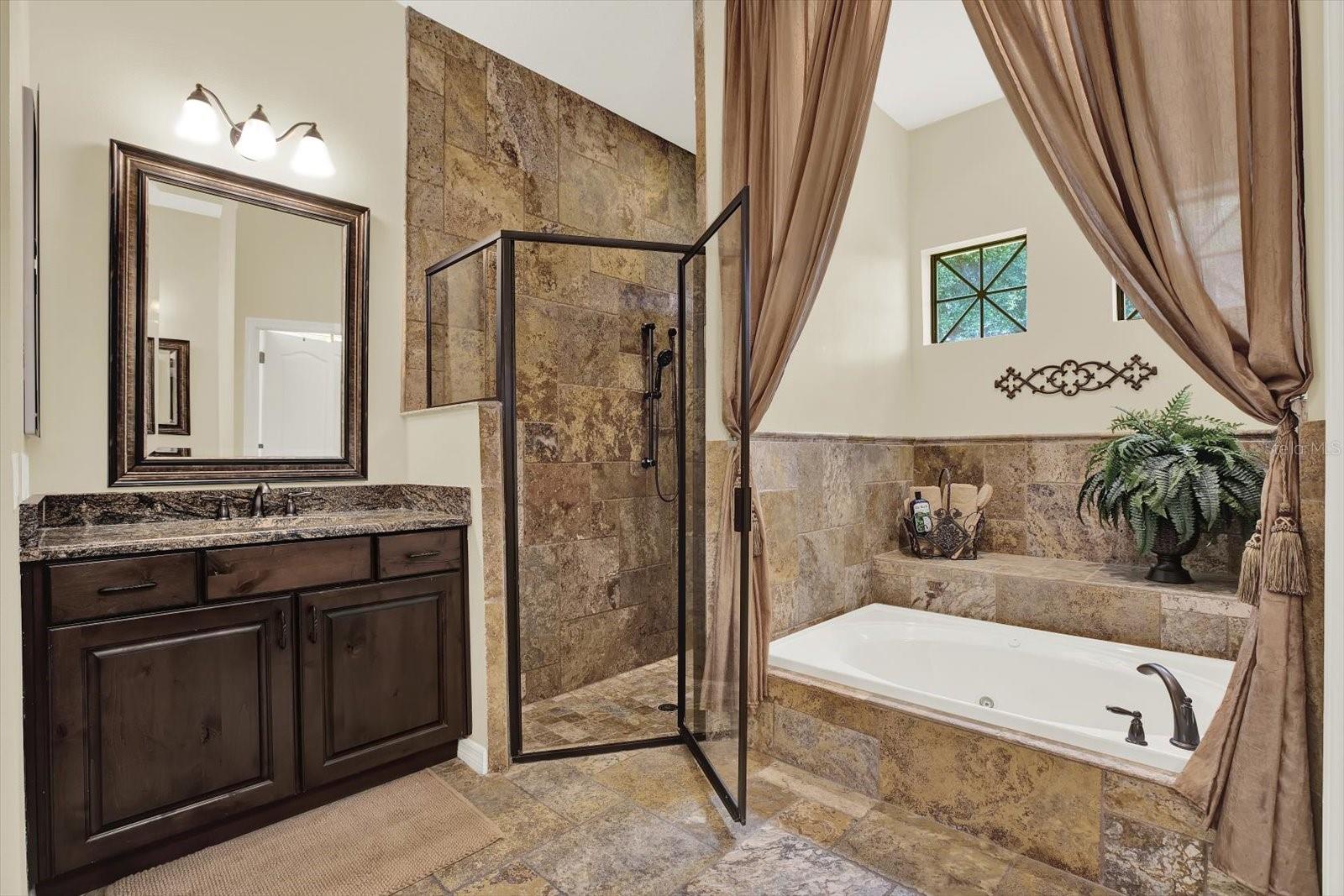 Primary bathroom- Tub and shower