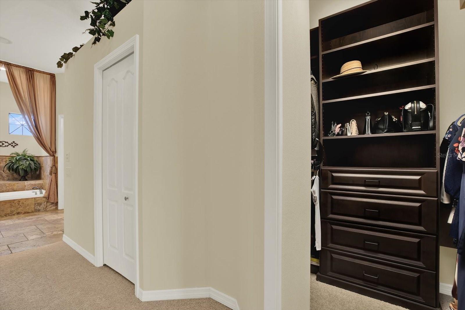 Primary Closet