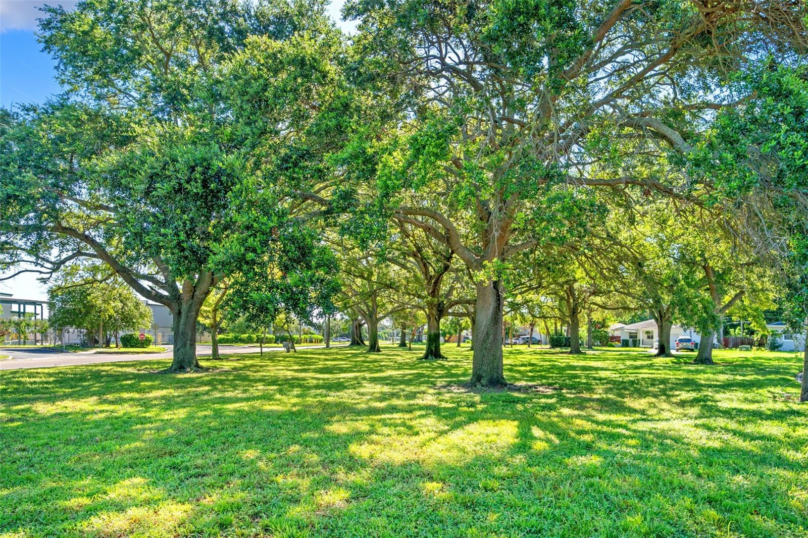 Pretty Park across the street provides extra privacy