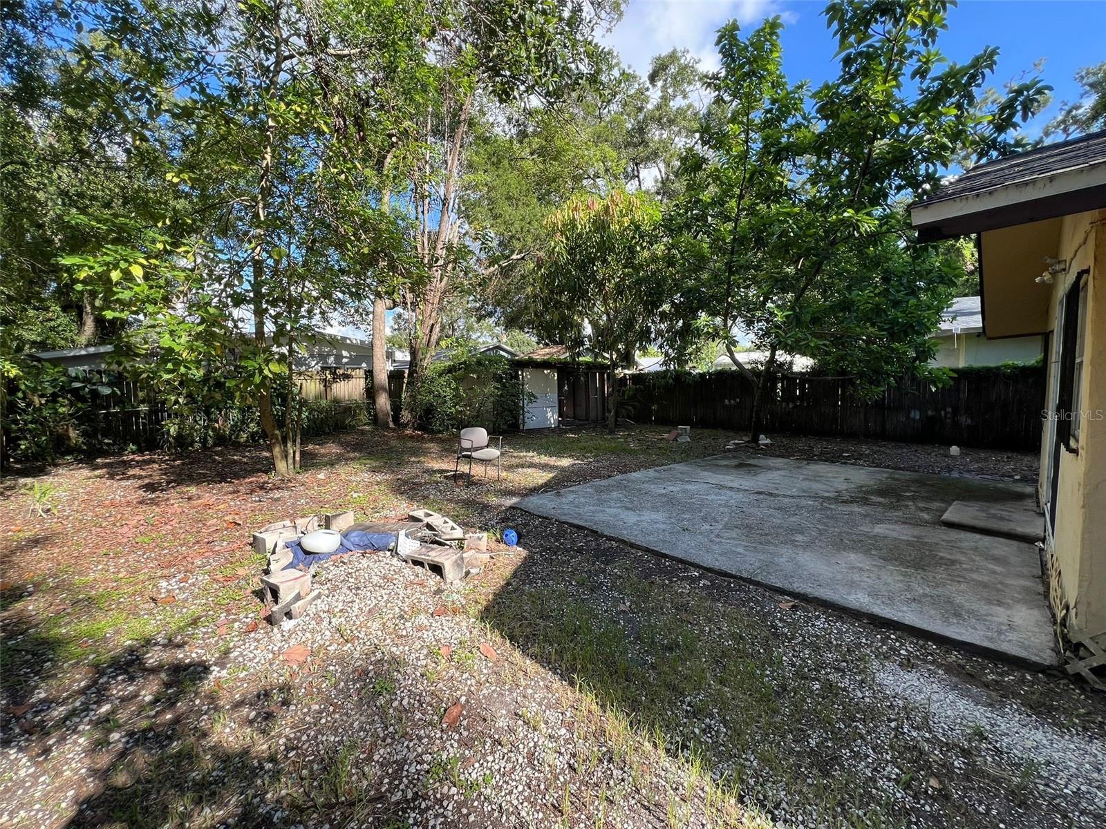 back yard