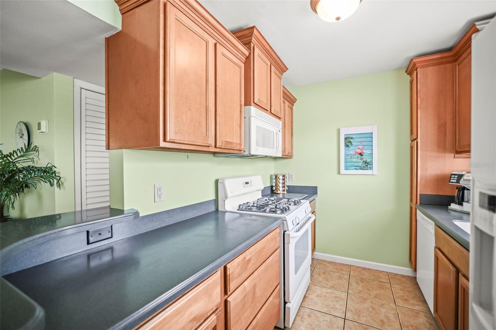 Appliances include Dishwasher, Refrigerator, Built-In Microwave & Gas Cooking