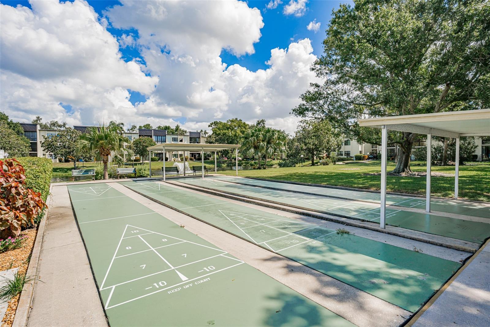 Shuffleboard courts