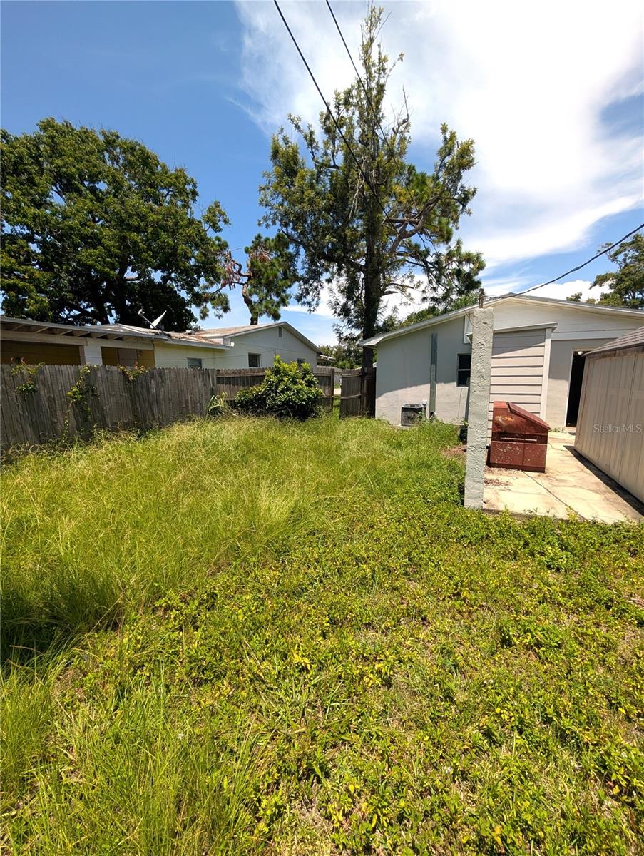 Back Yard