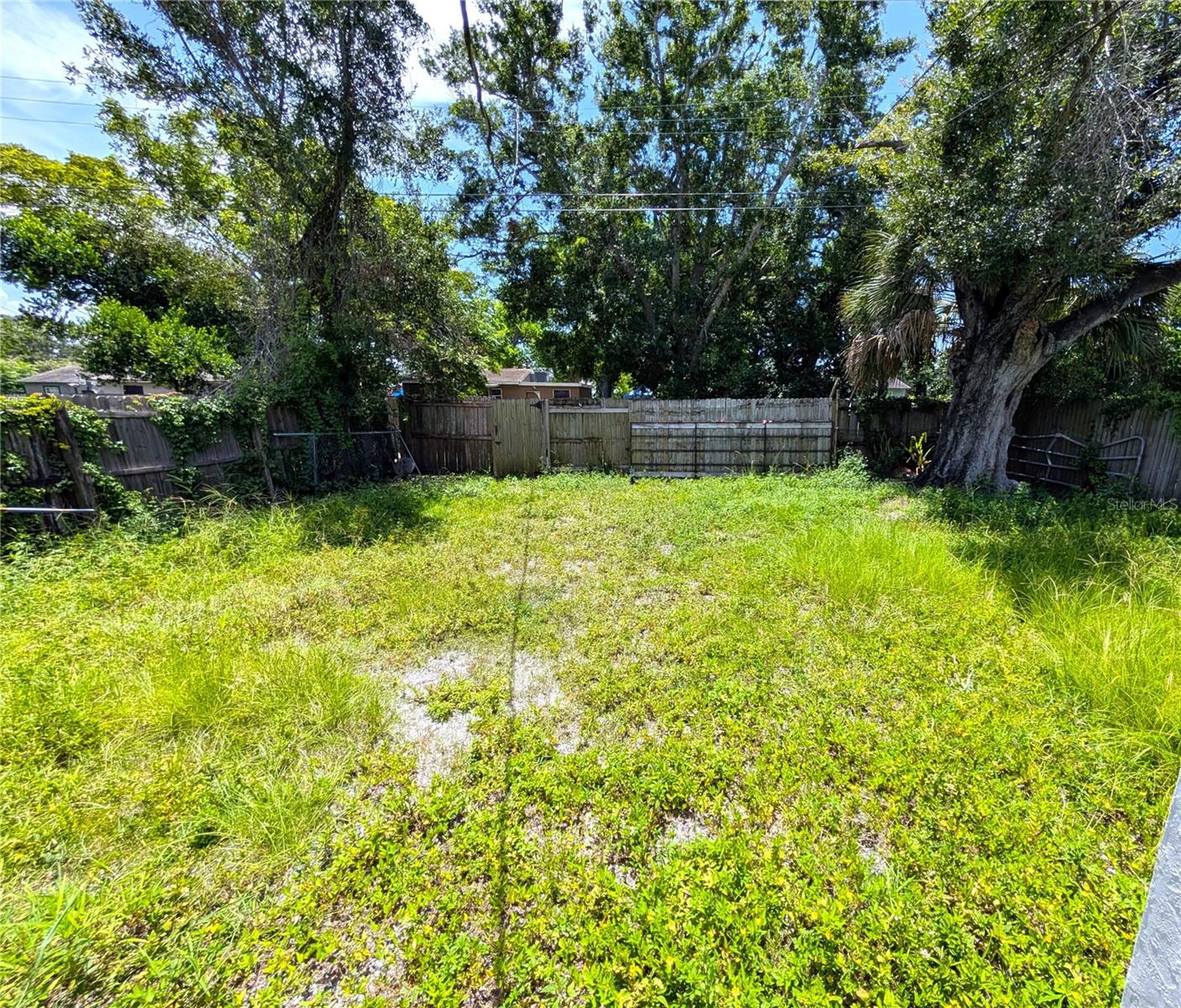 Back Yard