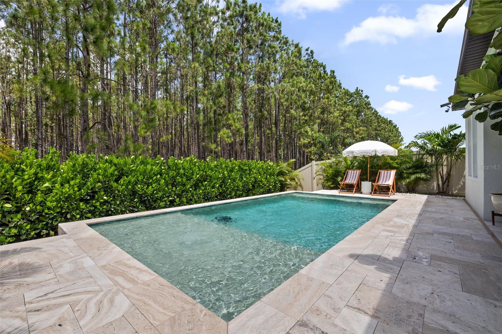 Brand New Heated Saltwater Pool with Sun-Shelf
