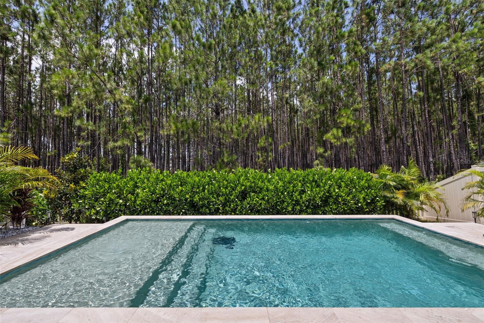 Fully Fenced and No Rear Neighbors!