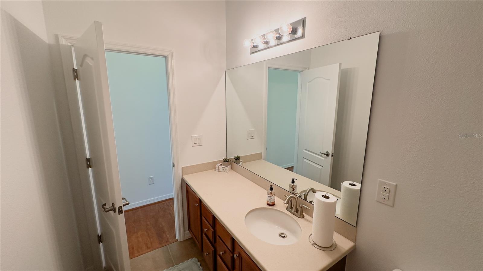 Guest Bath with large countertop and vanity cabinets for storage