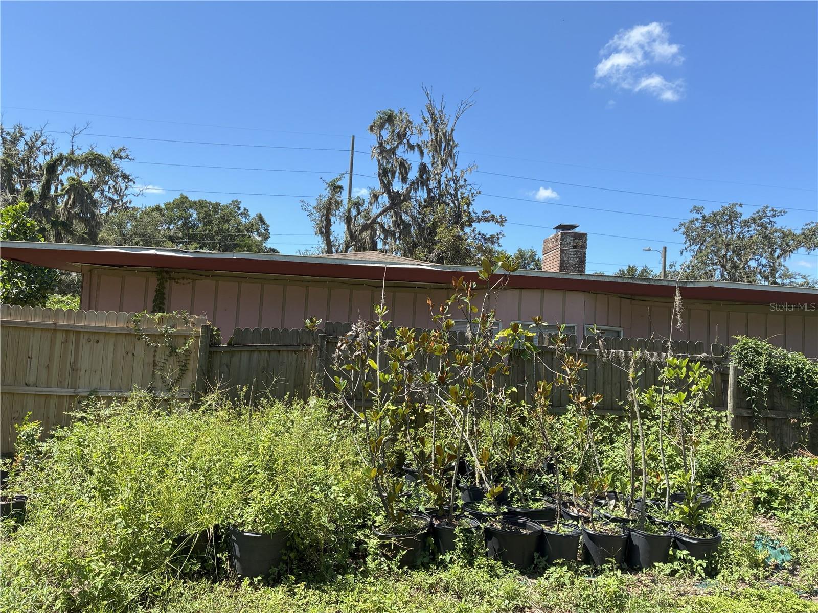 TB8412167