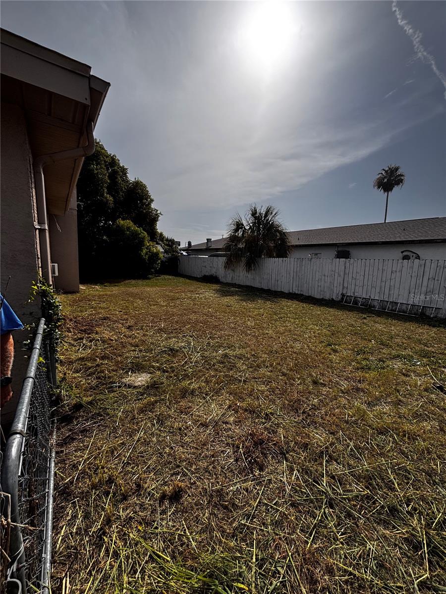 Back Yard