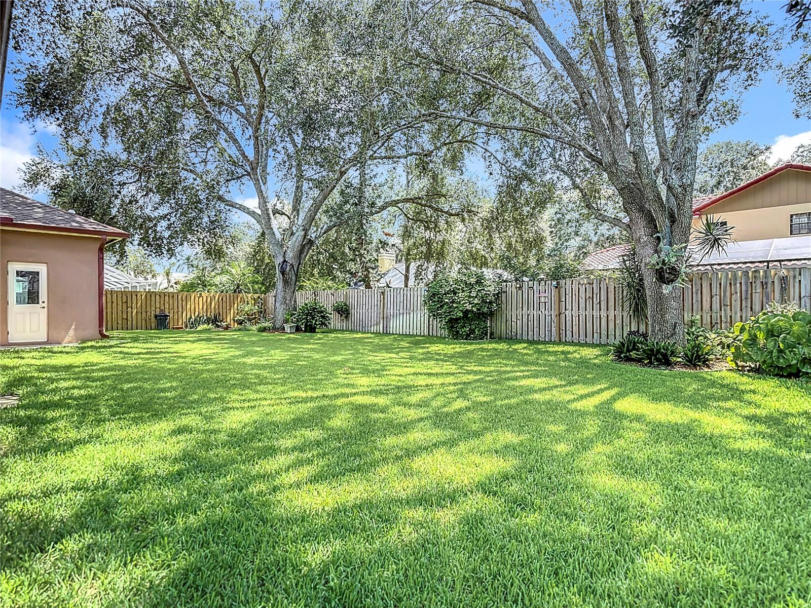 Back yard