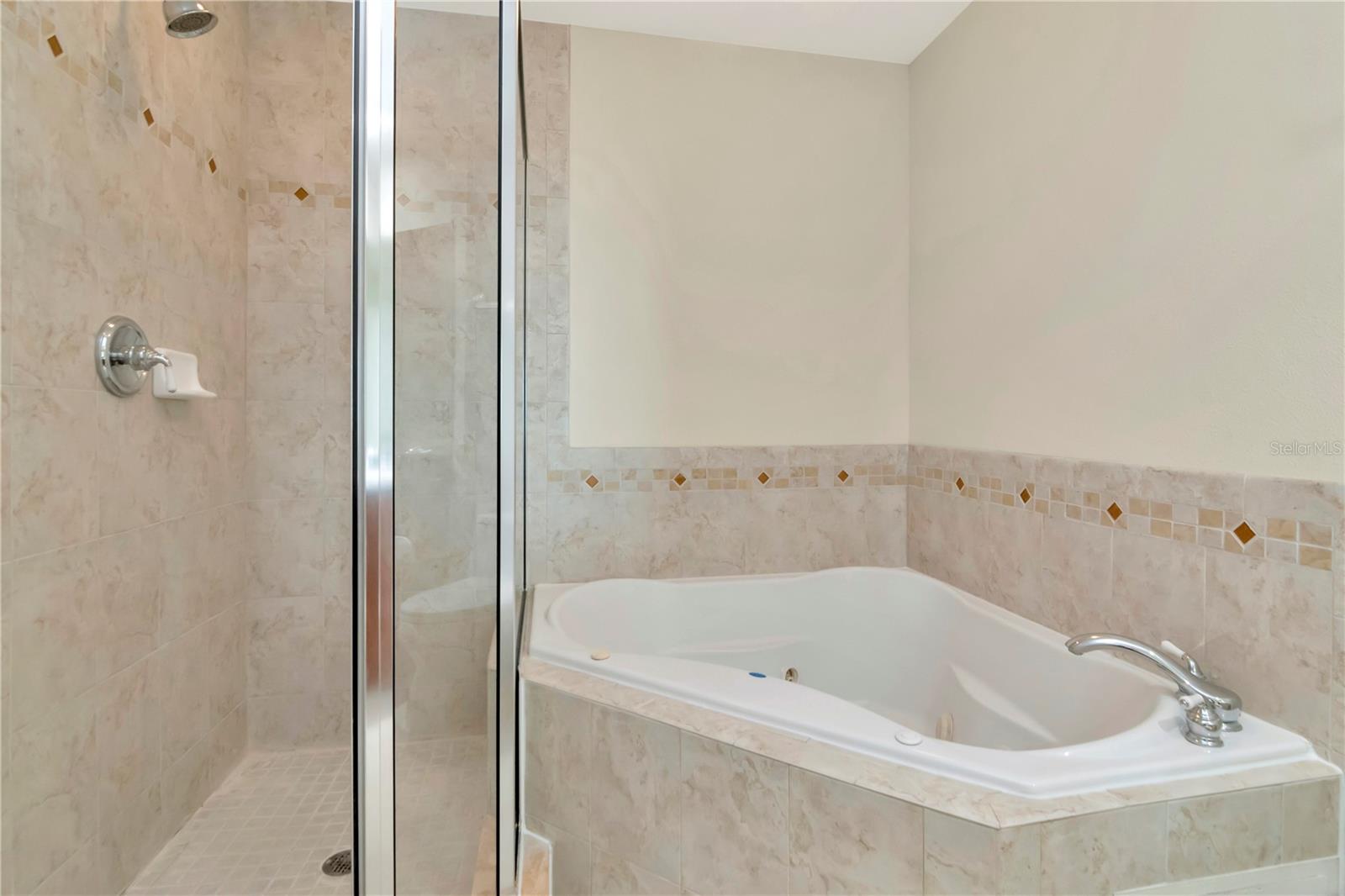 Walk in Shower and Deep Soaking  Jacuzzi  Tub