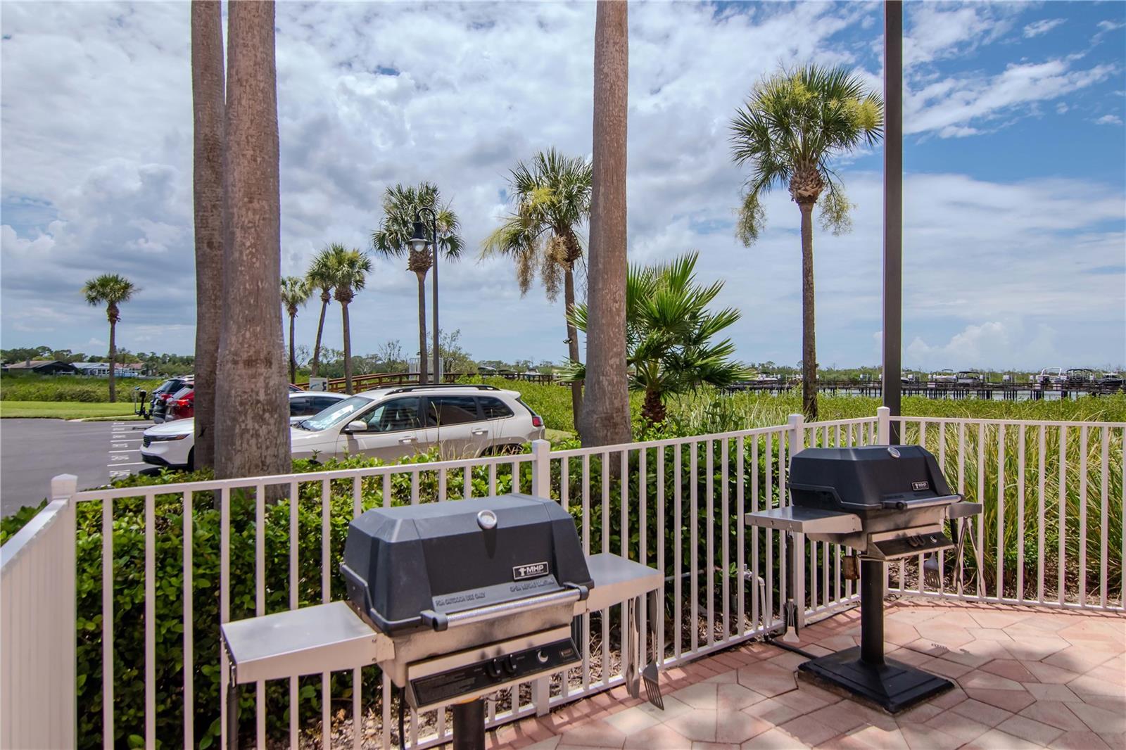 Poolside Gas Grills