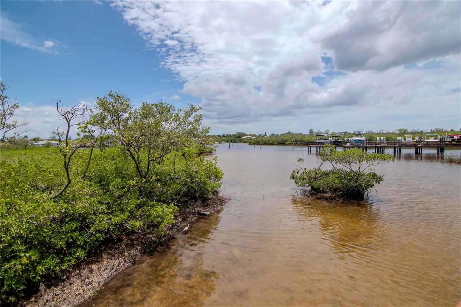 Community Pier