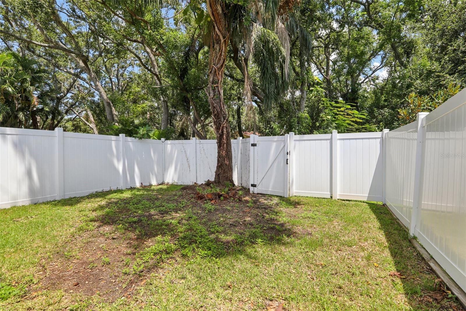 fenced yard