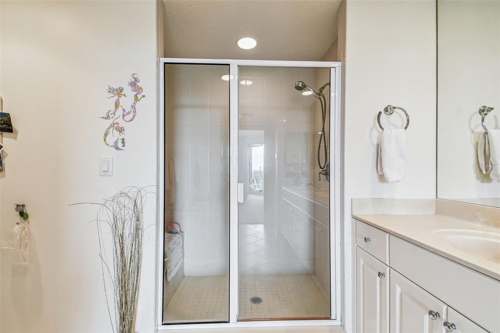 Walk-in Shower