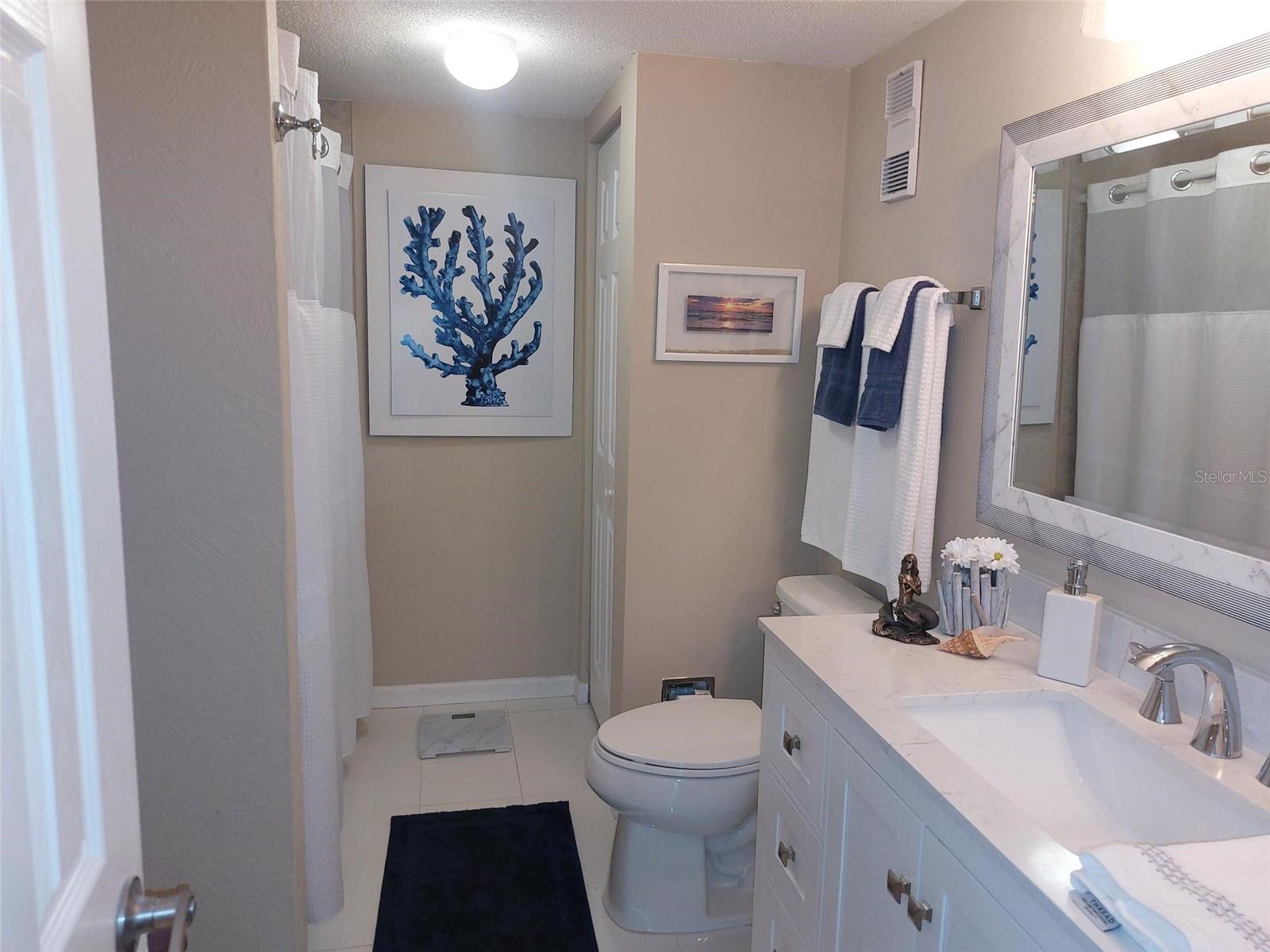 Upstairs Bath