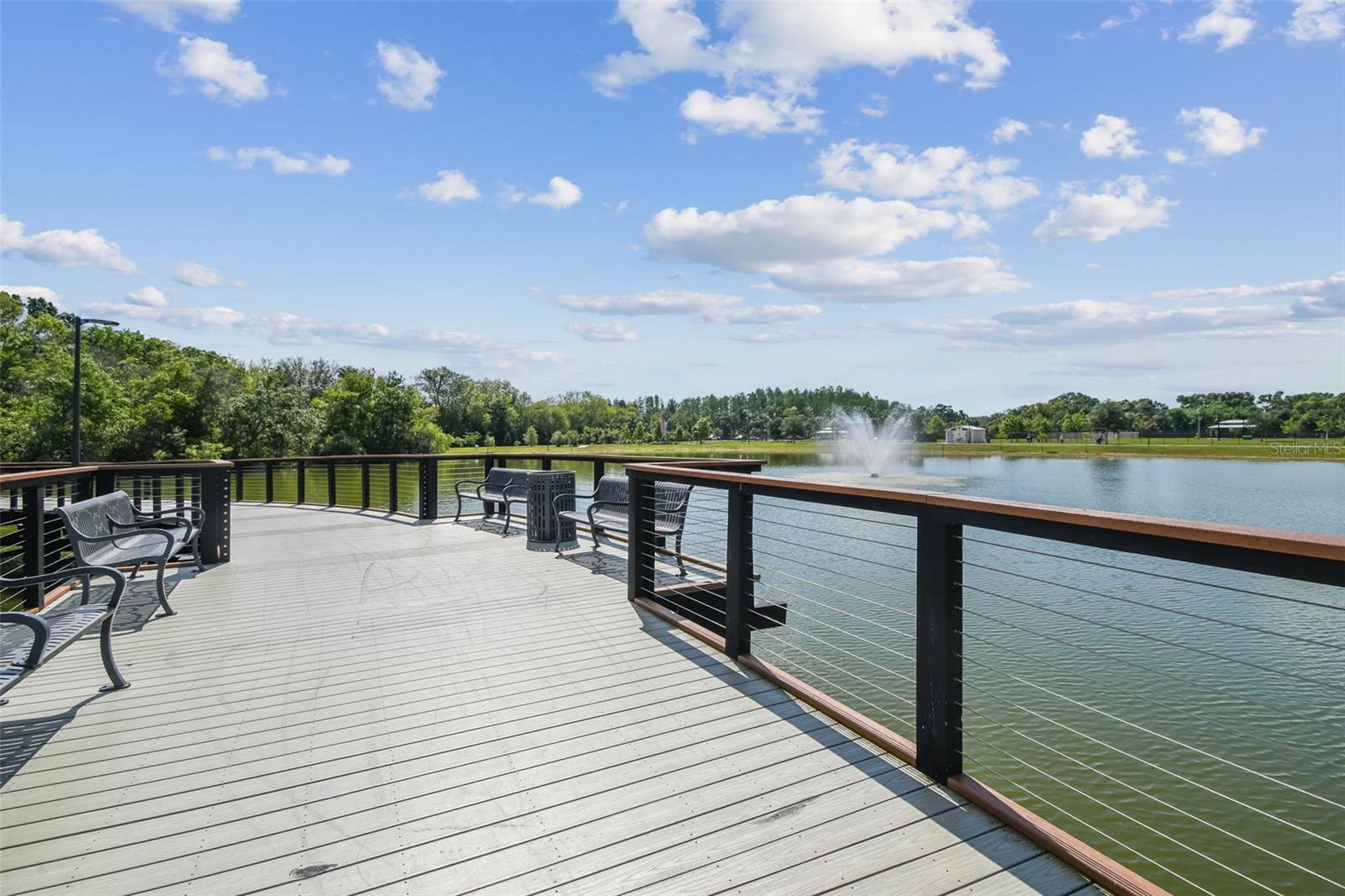Carrollwood Village Park