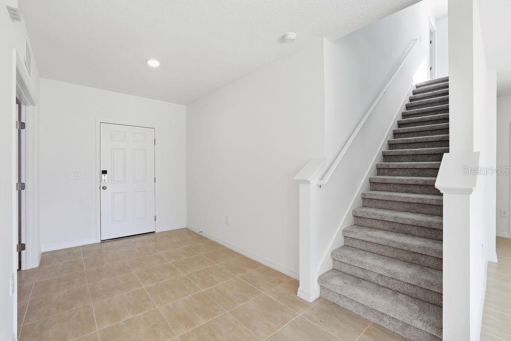 13601 Tropical Breeze ~ Ready Now