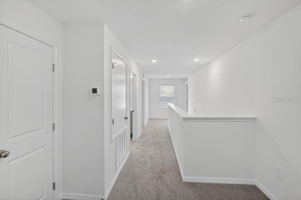 13655 Tropical Breeze ~ Ready Now