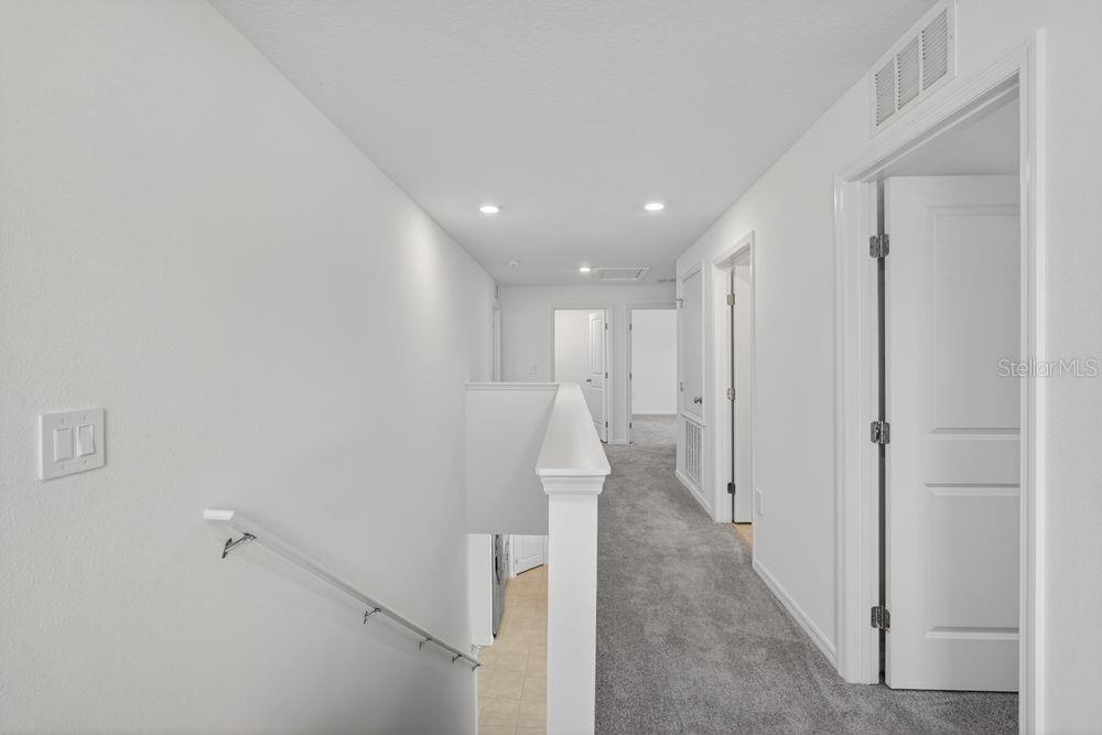 13655 Tropical Breeze ~ Ready Now