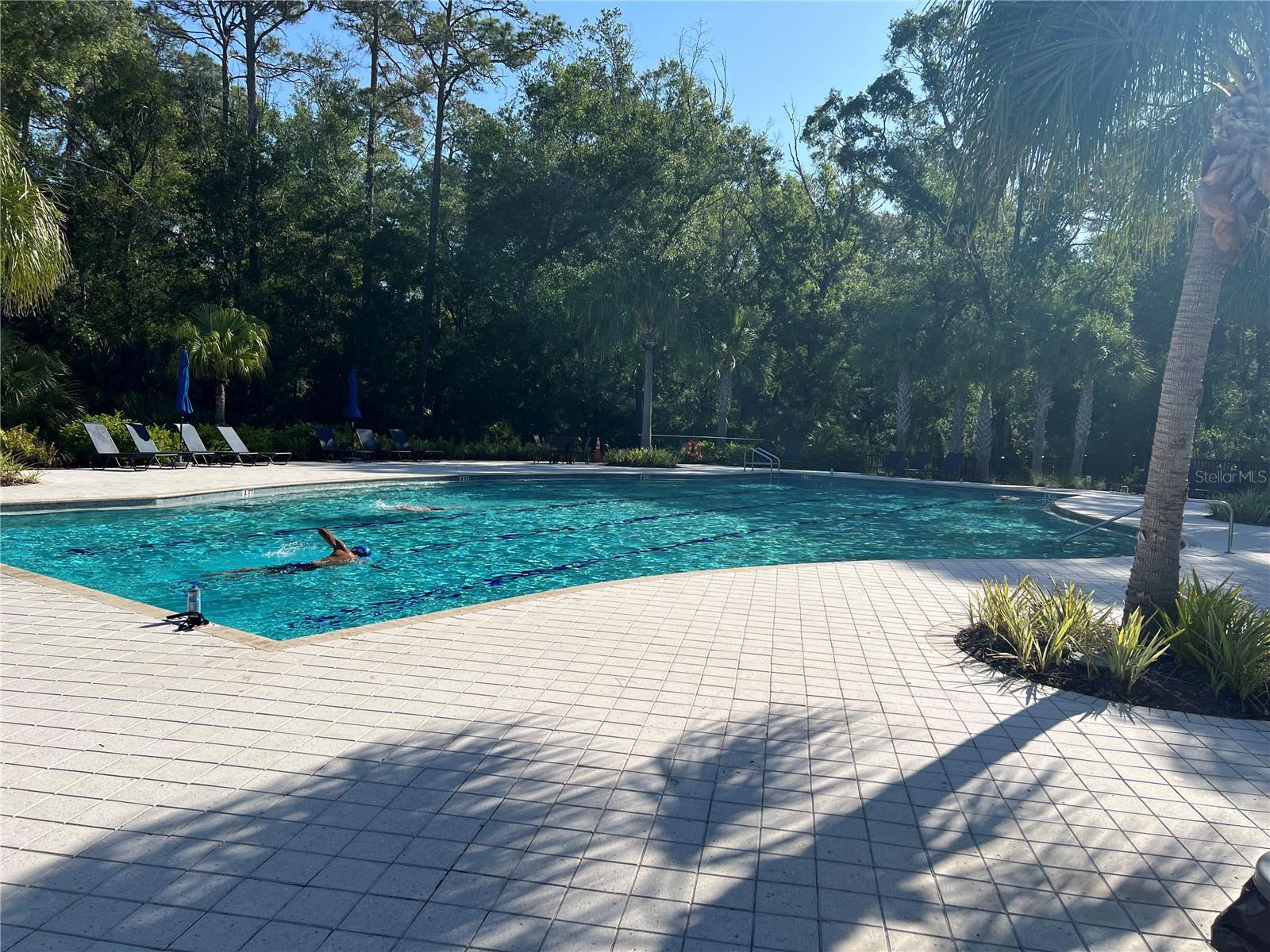 Lap pool