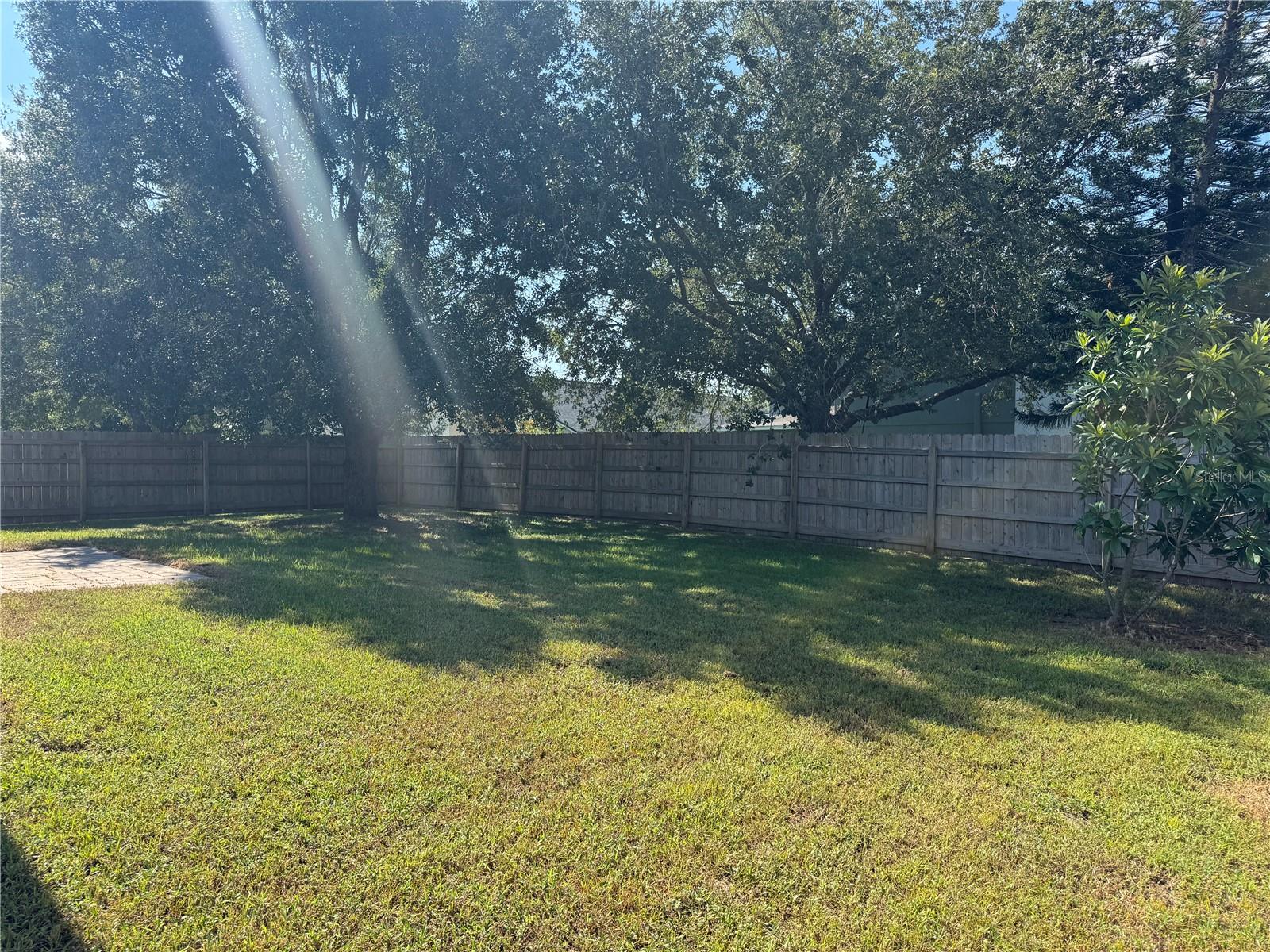 Backyard
