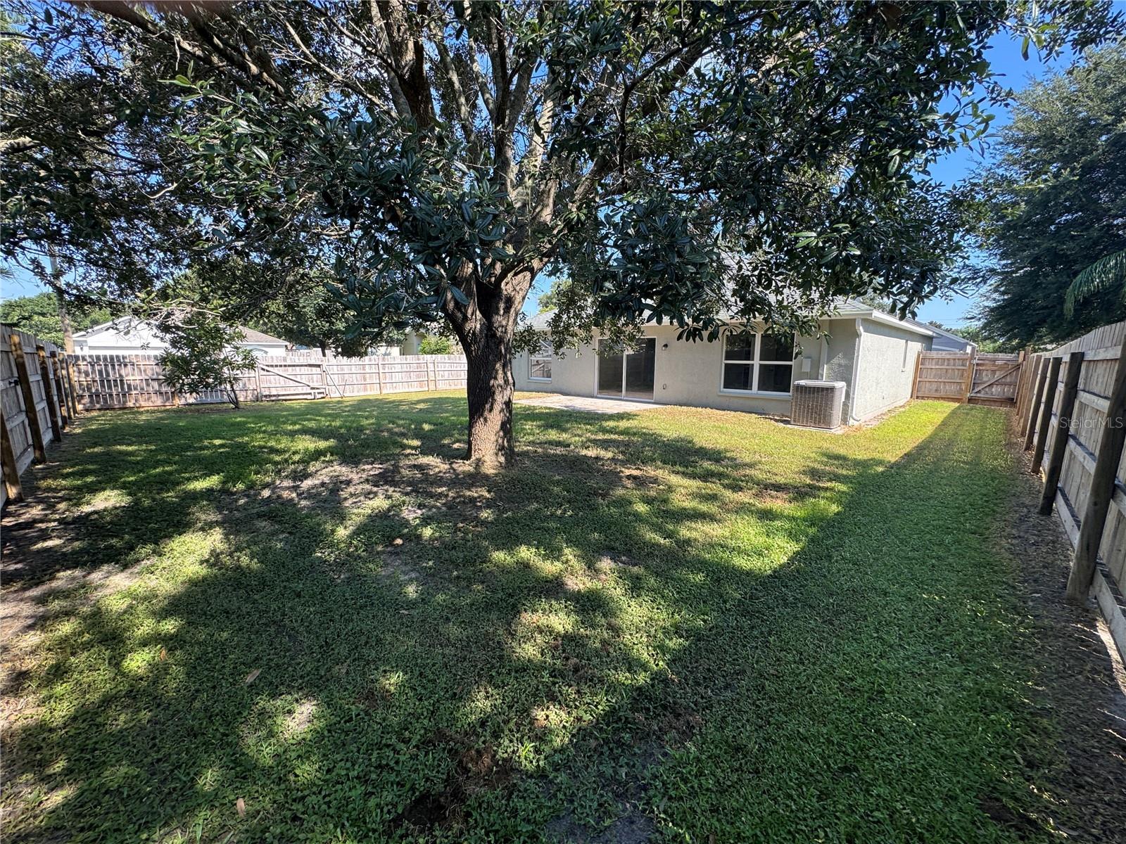 Backyard