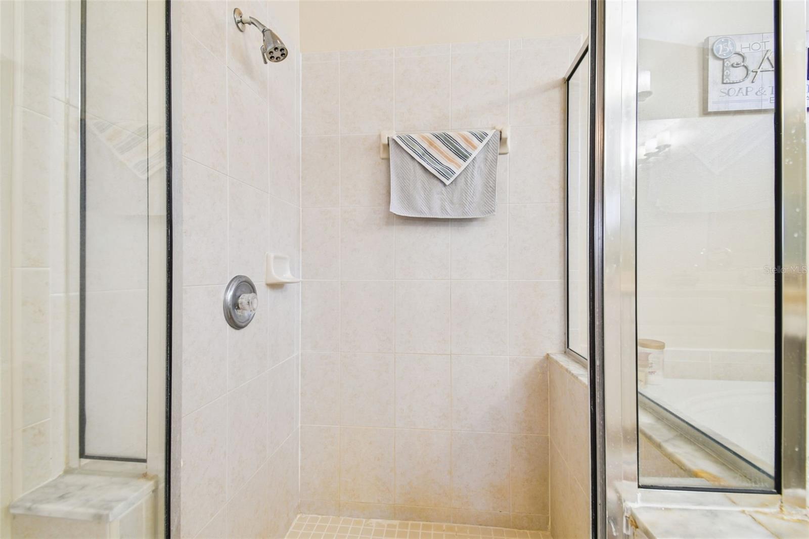 WALK-IN SHOWER IN MASTER BATH