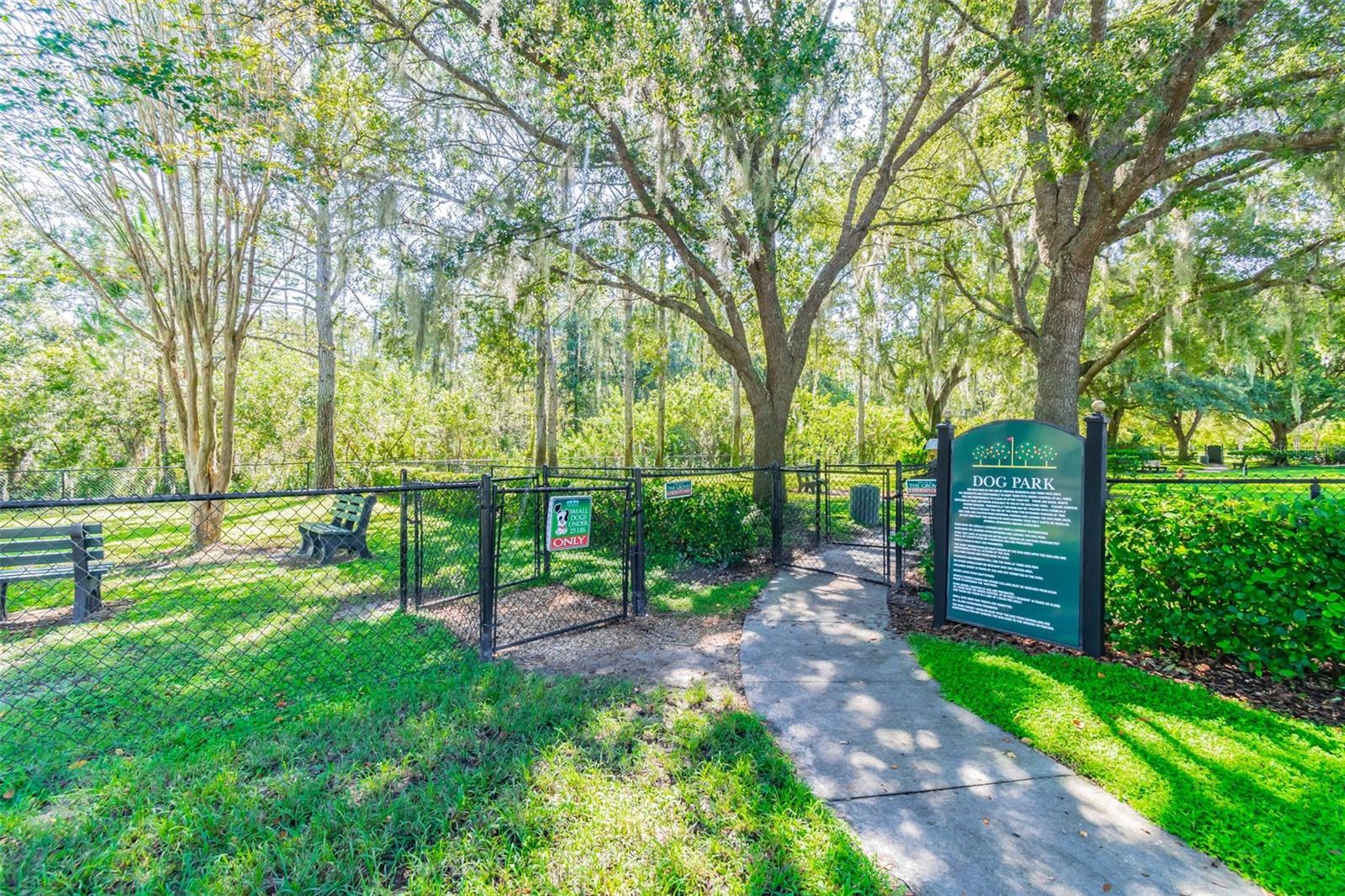 DOG PARK