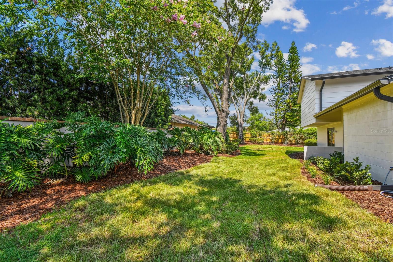 Great side yard