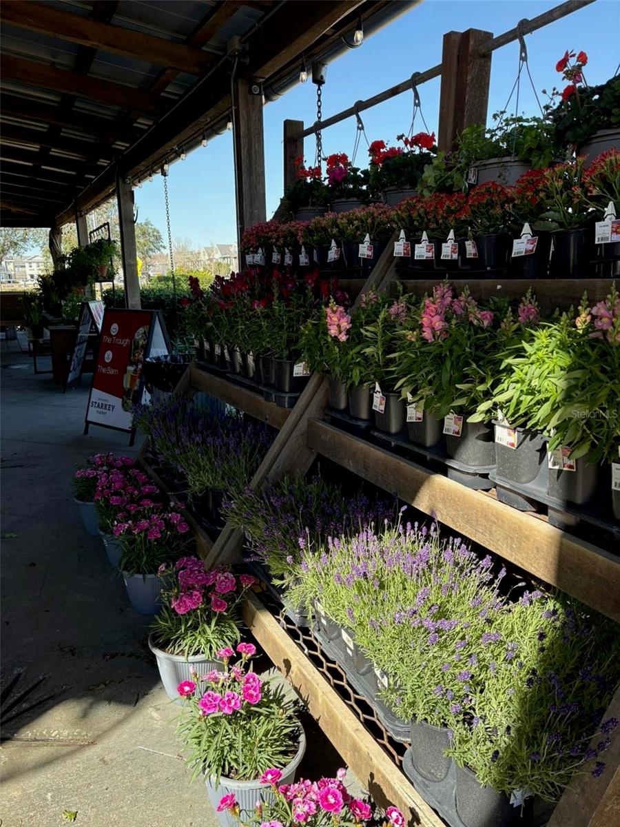 Flower STand at Starkey Market