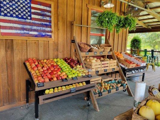 Fruist stand at Starkey Market