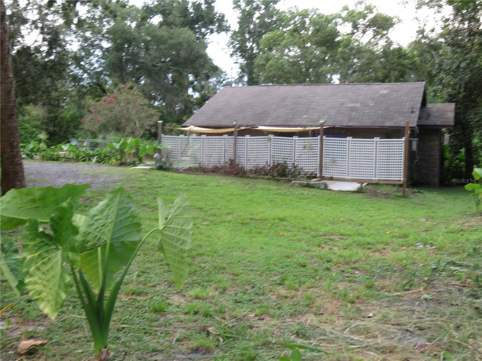 Front View
