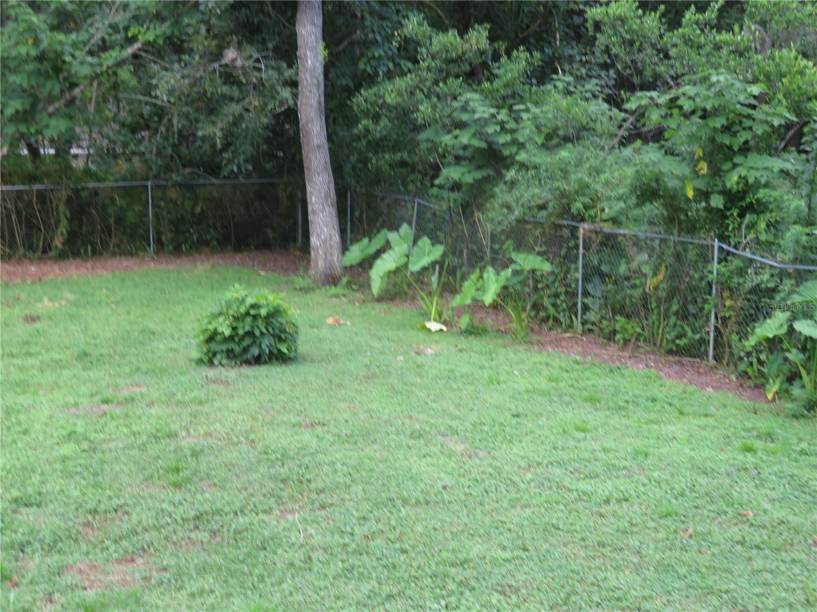 Pet Friendly Fenced Backyard