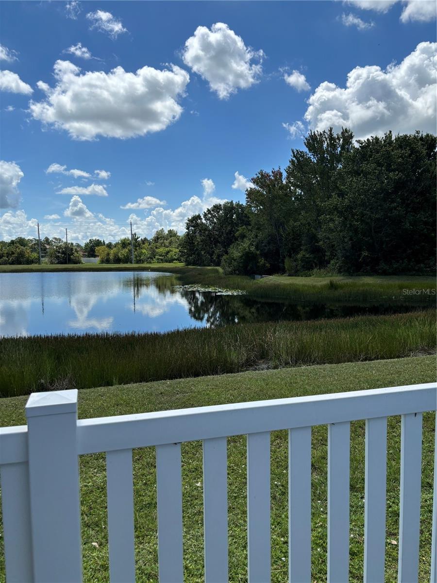 Pond View 1