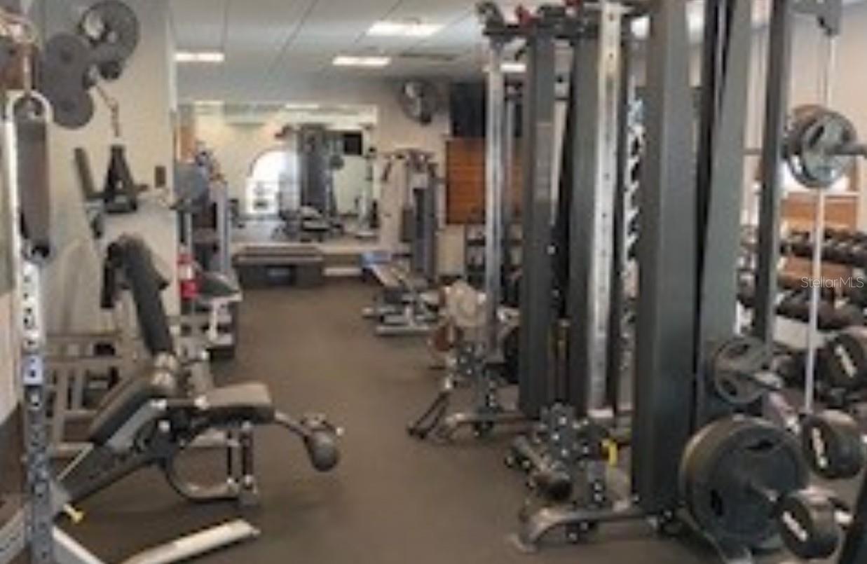 Gym 1