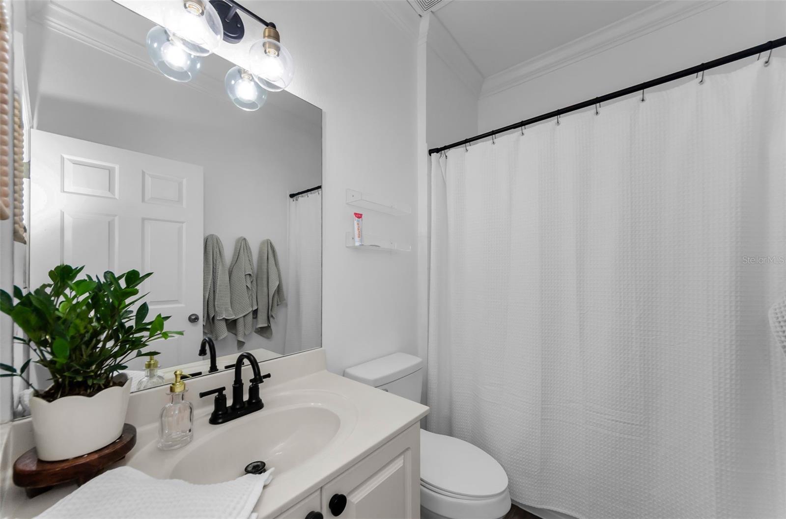 Guest bathroom