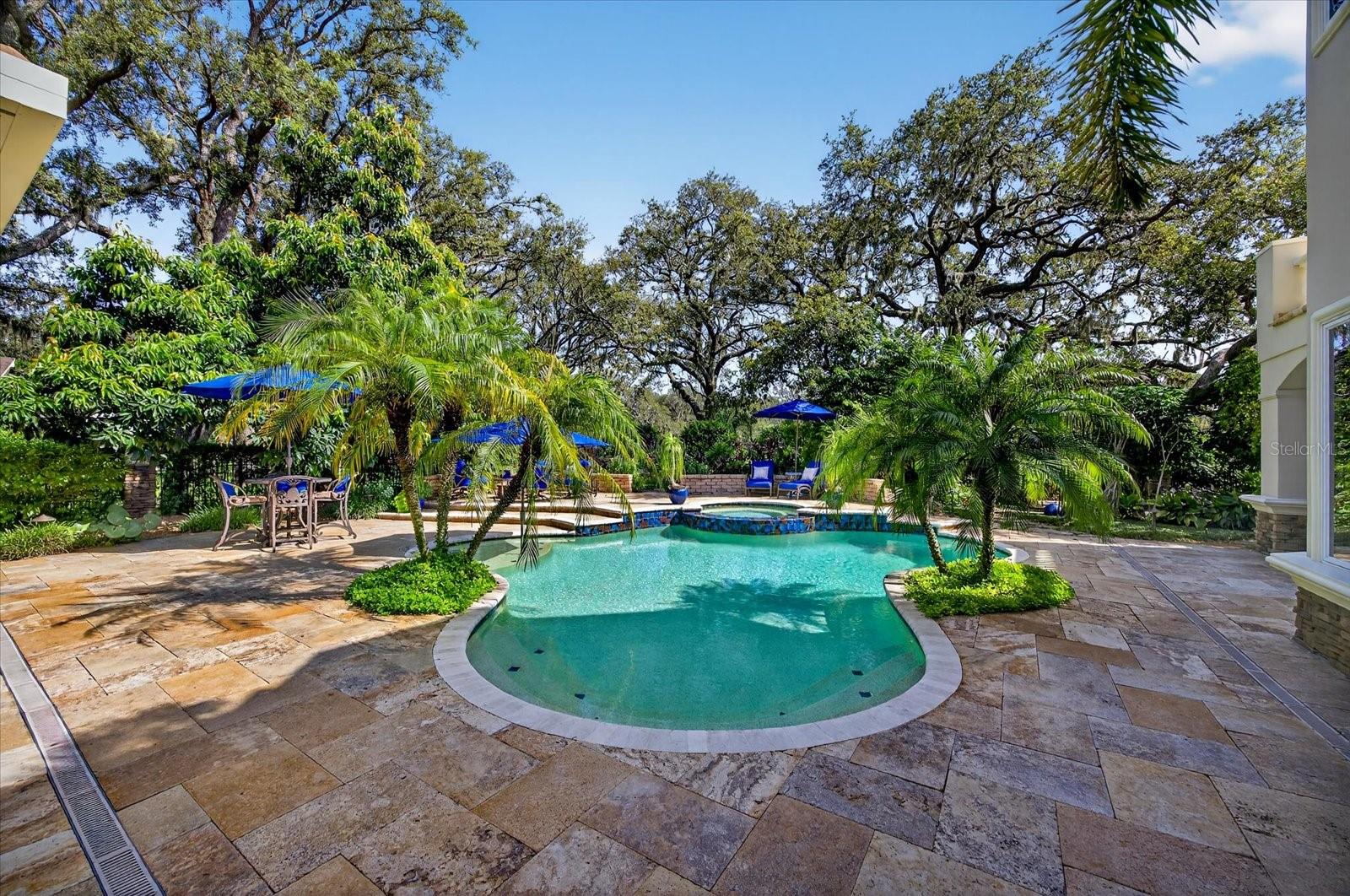 Salt Water Pool and Spa