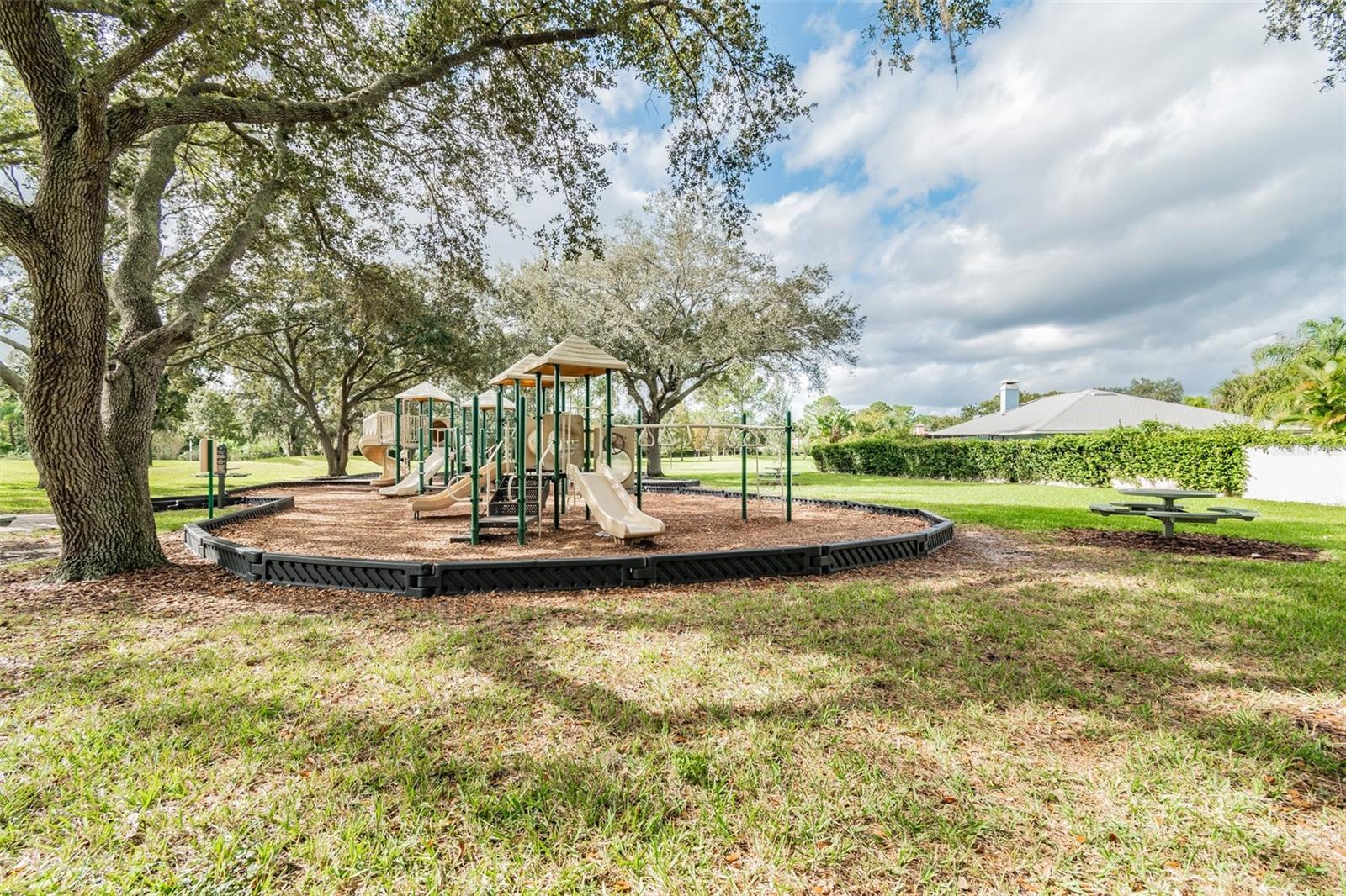 1 of 2 Carrollwood Village playgrounds