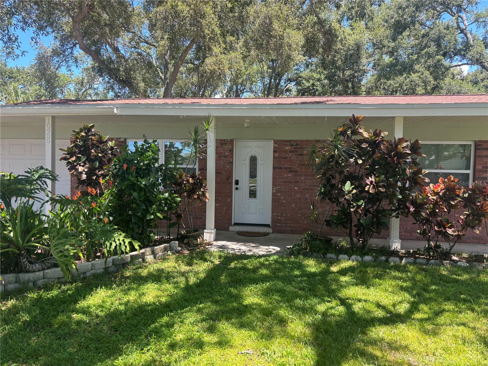 Large shady yard at end of dead end street