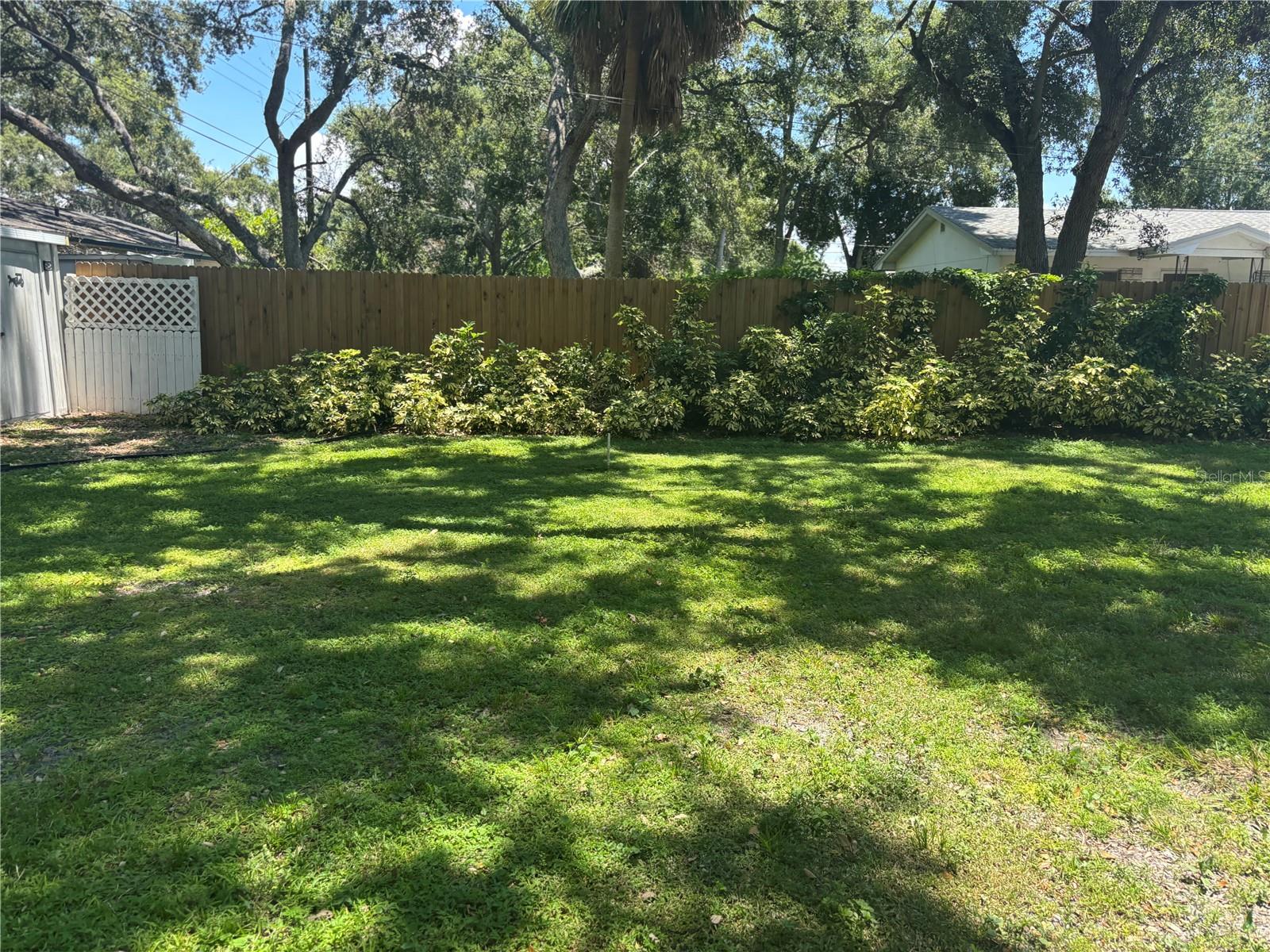 Huge back yard
