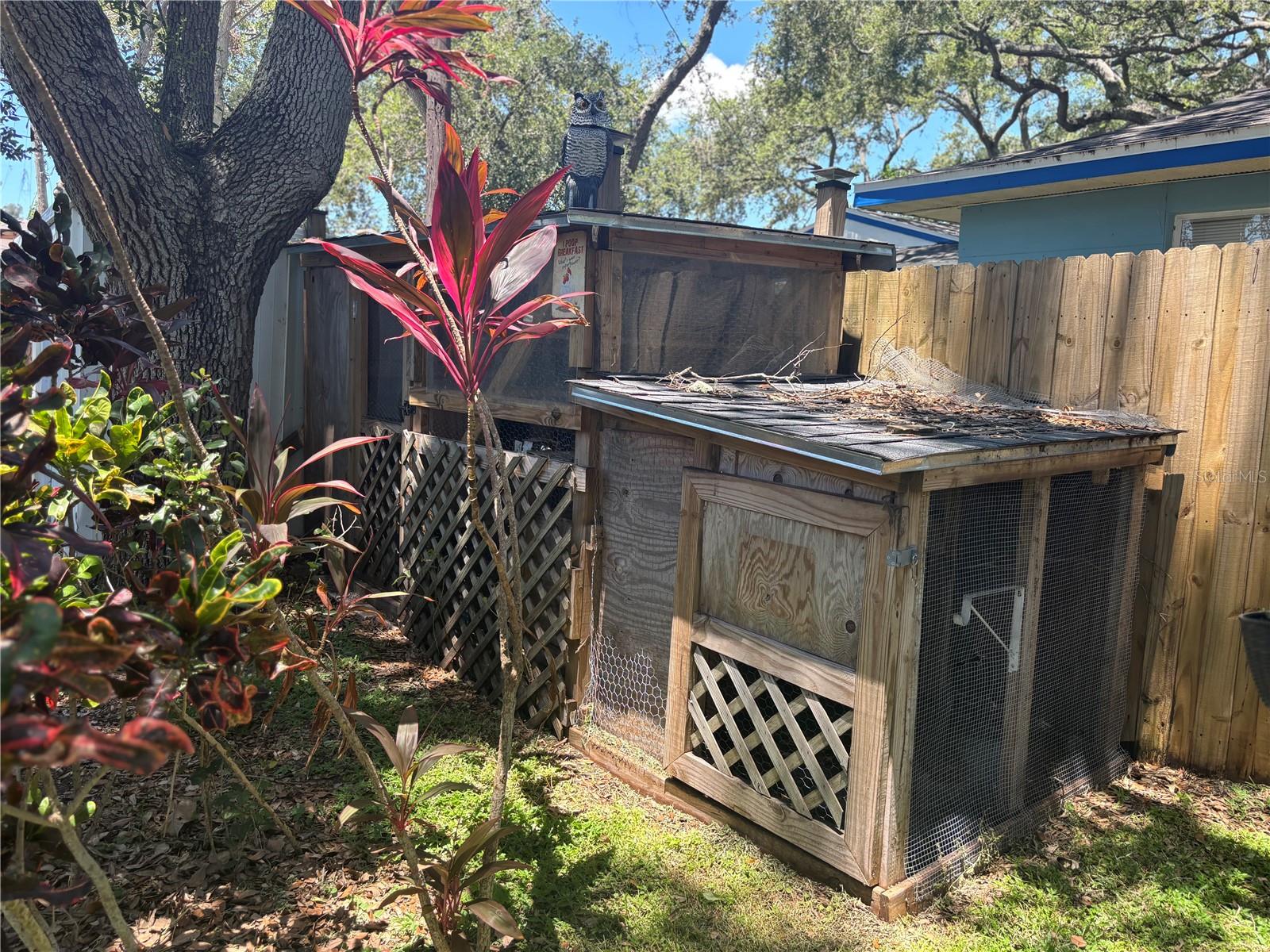 chicken  coop